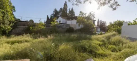  قطعة أرض في Granada, Spain رقم 181253 2