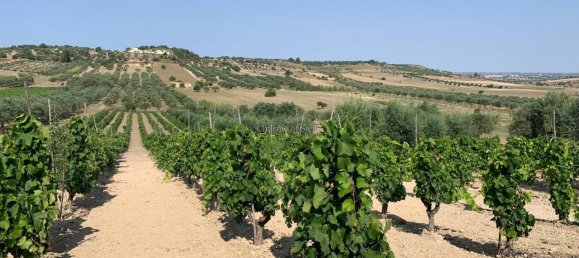 Grundstück in Noto, Italy 8242m², Nr. 234367 7