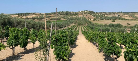 Grundstück in Noto, Italy 8242m², Nr. 234367 4