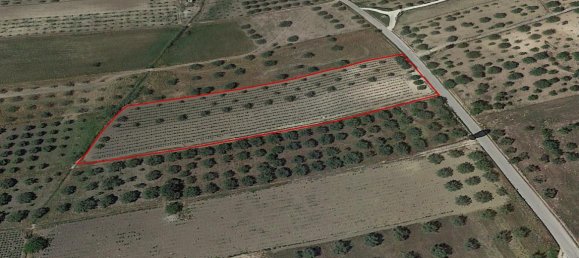 Grundstück in Noto, Italy 8242m², Nr. 234367 21