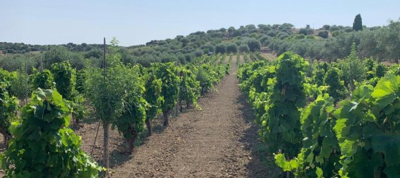 Grundstück in Noto, Italy 8242m², Nr. 234367 9