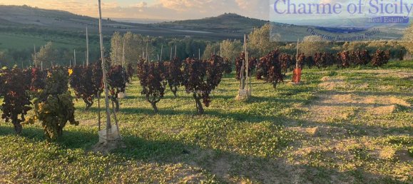 Grundstück in Noto, Italy 8242m², Nr. 234367 16