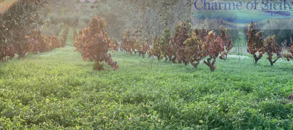 Grundstück in Noto, Italy 8242m², Nr. 234367 13