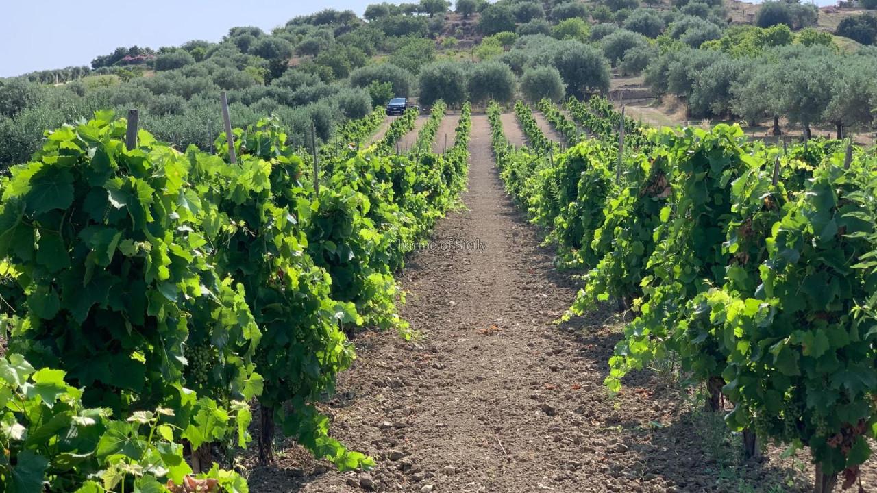 Grundstück in Noto, Italy 8242m², Nr. 234367