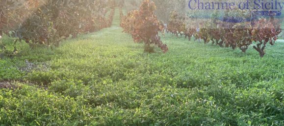 Grundstück in Noto, Italy 8242m², Nr. 234367 6