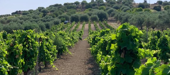 Grundstück in Noto, Italy 8242m², Nr. 234367 10