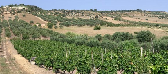 Grundstück in Noto, Italy 8242m², Nr. 234367 8