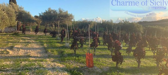 Grundstück in Noto, Italy 8242m², Nr. 234367 14