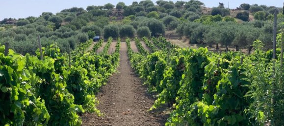 Grundstück in Noto, Italy 8242m², Nr. 234367 2