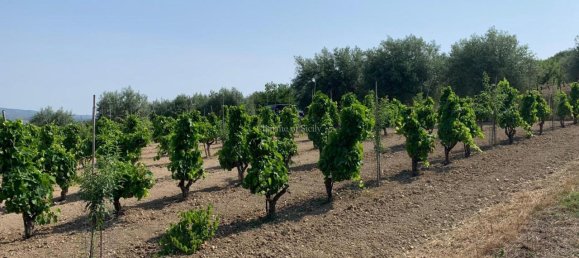 Grundstück in Noto, Italy 8242m², Nr. 234367 5