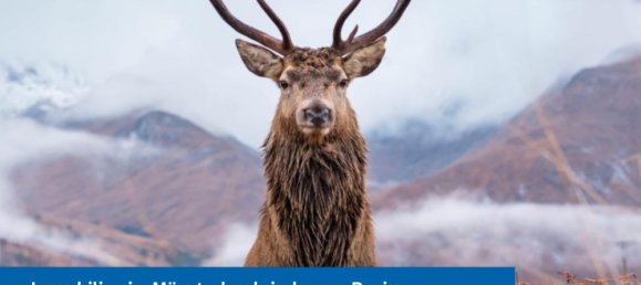 Casa T4 em Steinfurt, Germany N.º 328463 17