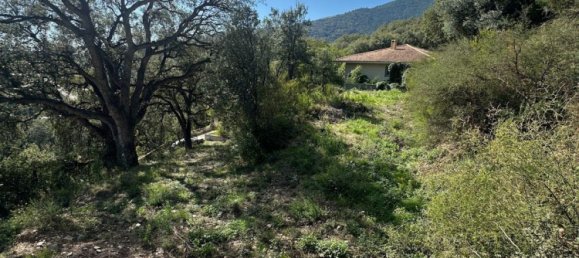 Terrain à Lucciana, France 1600m² No. 215745 2