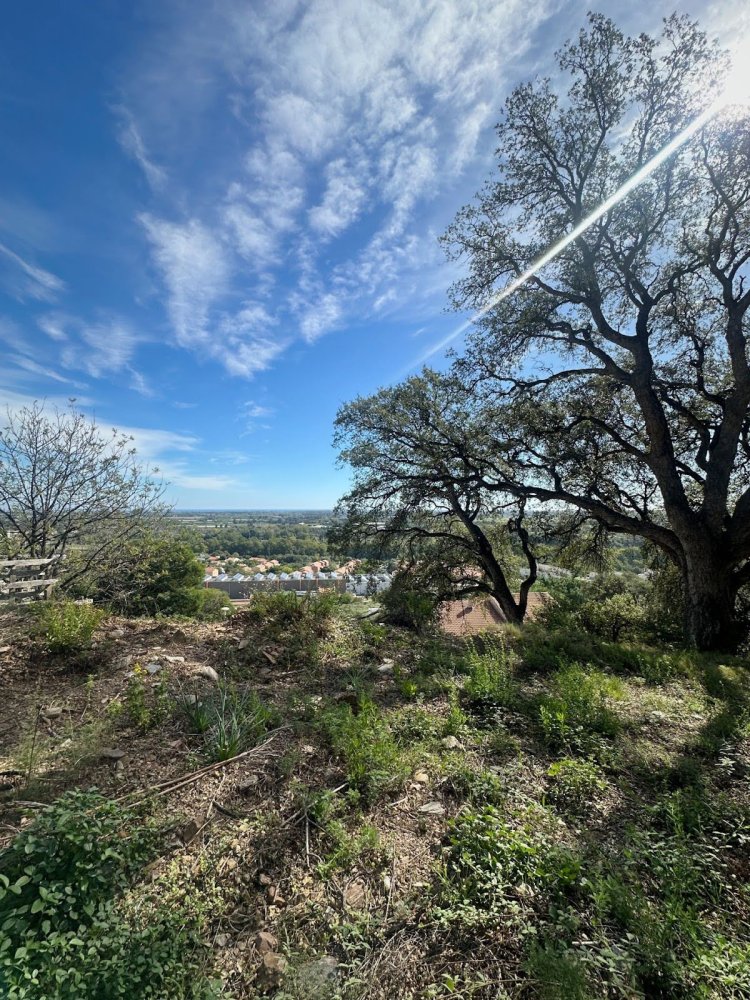 Terrain à Lucciana, France 1600m² No. 215745
