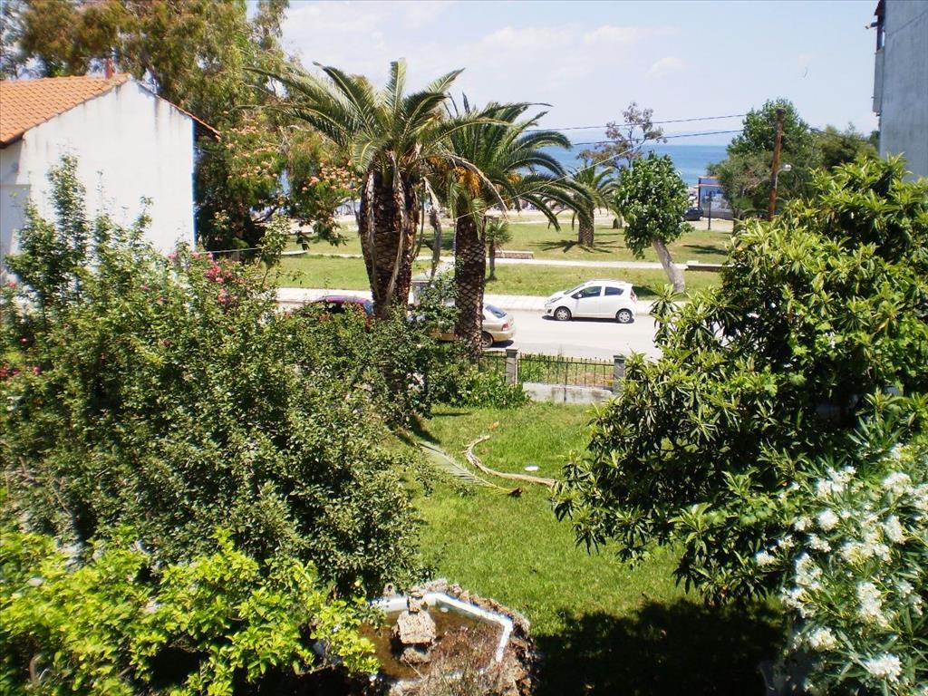 4 غرف نوم عقار تجاري في Chalkidiki, Greece رقم 7751