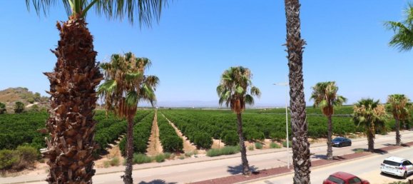 3 bedrooms Villa in Algorfa, Spain No. 171468 4