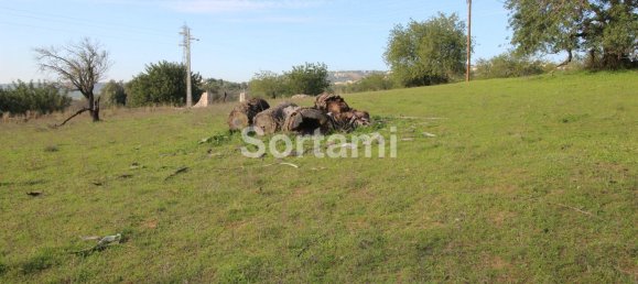 Terreno en Loule, Portugal 2170 m² No. 57377 6