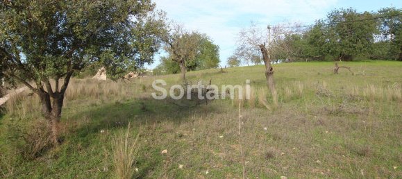 Terreno en Loule, Portugal 2170 m² No. 57377 7