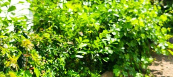 3 rooms Apartment in Hernals, Austria No. 195722 5