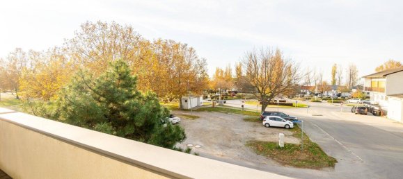 5 rooms House in Podersdorf am See, Austria No. 26052 23