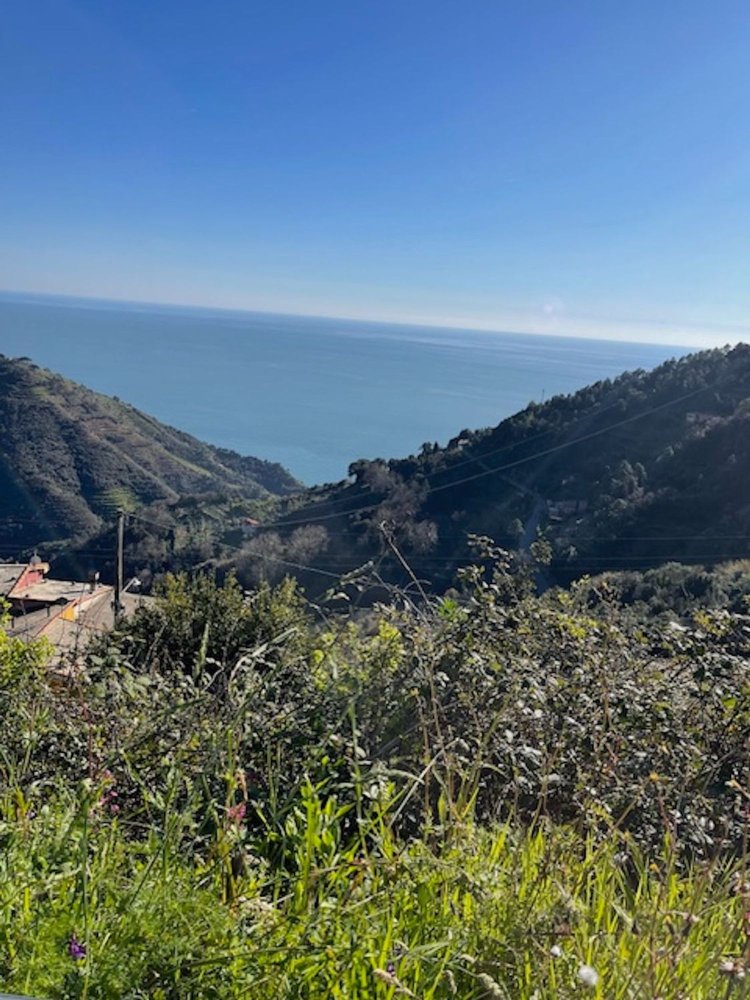 3 rooms Apartment in Vernazza, Italy No. 36231