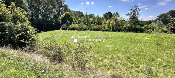 18064m² Land in Prellenkirchen, Austria No. 231884 4