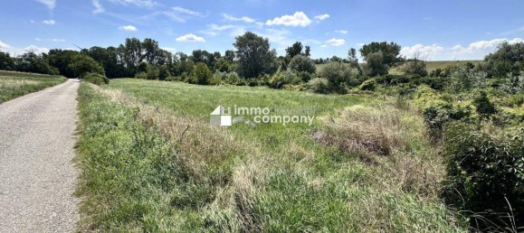 18064m² Land in Prellenkirchen, Austria No. 231884 3