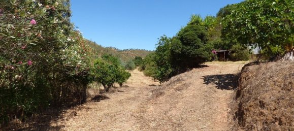3 Schlafzimmer Villa in Silves, Portugal, Nr. 233604 31