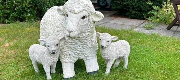 3 bedrooms Bungalow in Leer, Germany No. 240015 7