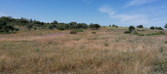 1 bedroom House in Lagoa, Portugal No. 74763 7