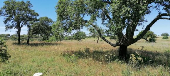 1 bedroom House in Lagoa, Portugal No. 74763 11