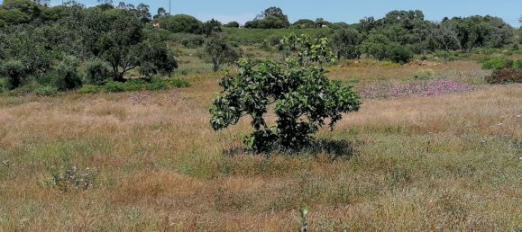 1 bedroom House in Lagoa, Portugal No. 74763 8