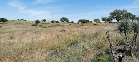 1 bedroom House in Lagoa, Portugal No. 74763 9