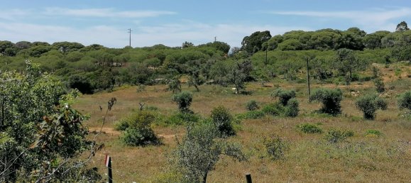 1 bedroom House in Lagoa, Portugal No. 74763 10