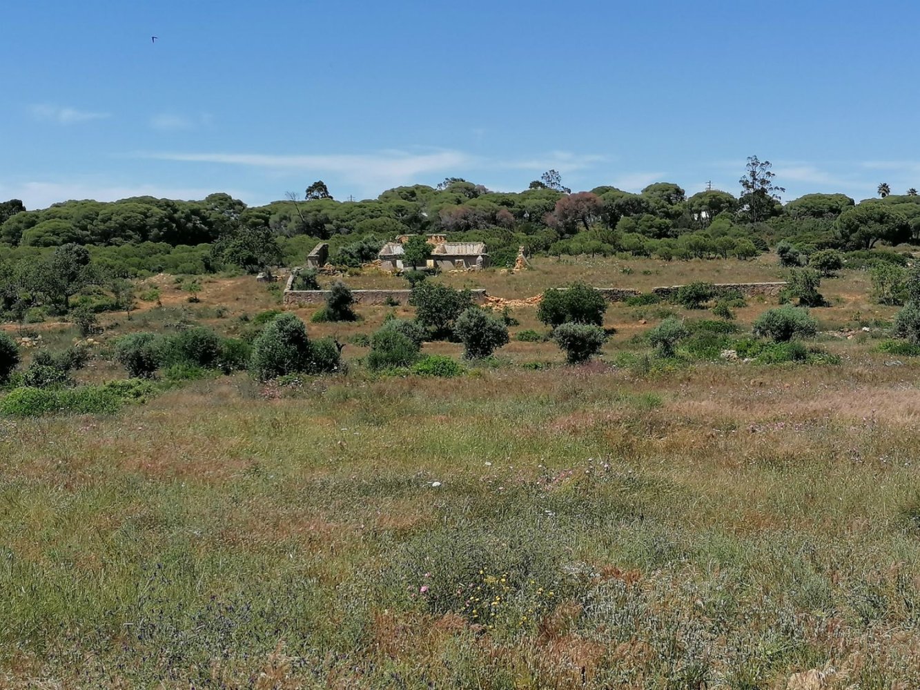 1 bedroom House in Lagoa, Portugal No. 74763