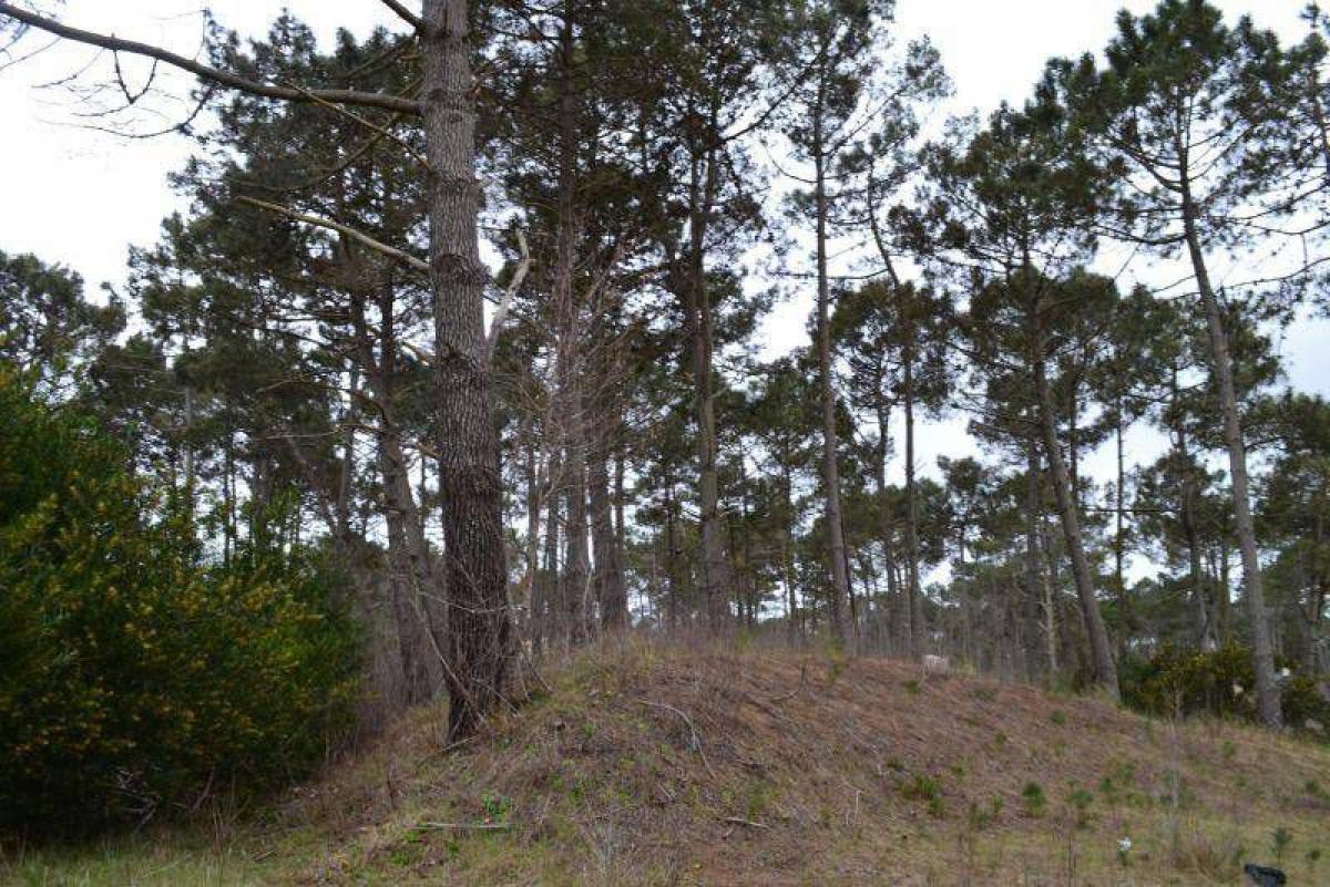 Grundstück in Mar del Plata, Argentina, Nr. 113490