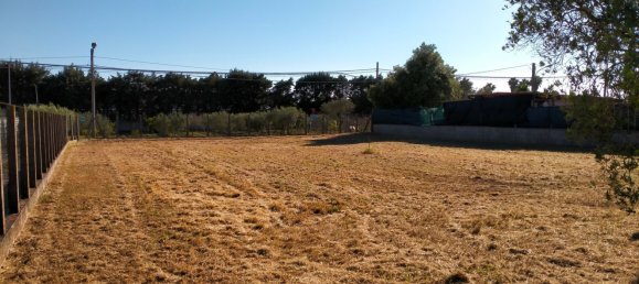  Land in Nettuno, Italy No. 79423 17