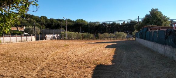  Land in Nettuno, Italy No. 79423 2