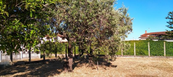  Land in Nettuno, Italy No. 79423 16