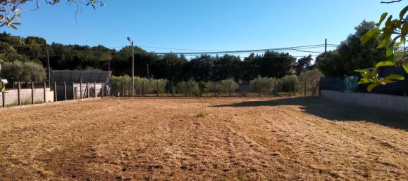  Land in Nettuno, Italy No. 79423 19