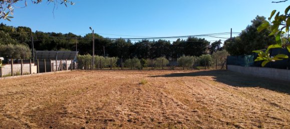  Land in Nettuno, Italy No. 79423 20