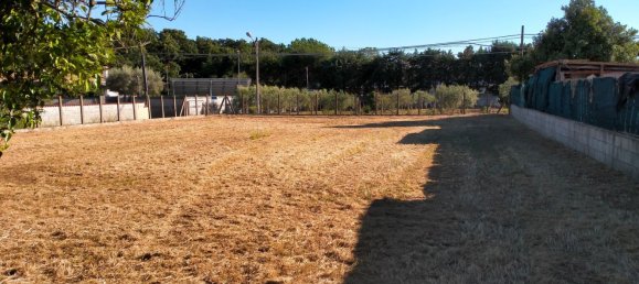  Land in Nettuno, Italy No. 79423 4