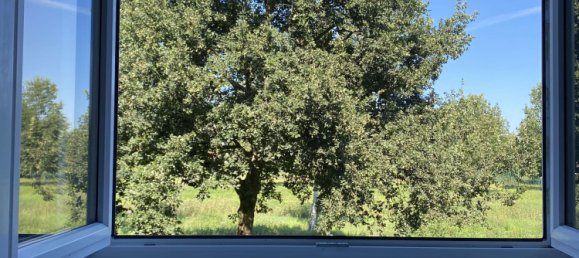 1 غرف نوم شقة في Greifswald, Germany رقم 267851 13