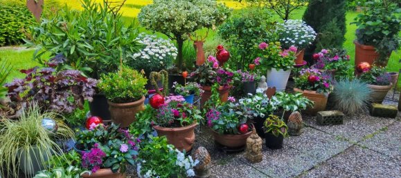 2 غرف نوم شقة في Wuppertal, Germany رقم 68314 16