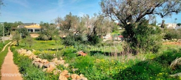 5000m² Land in Paderne, Portugal No. 31635 4