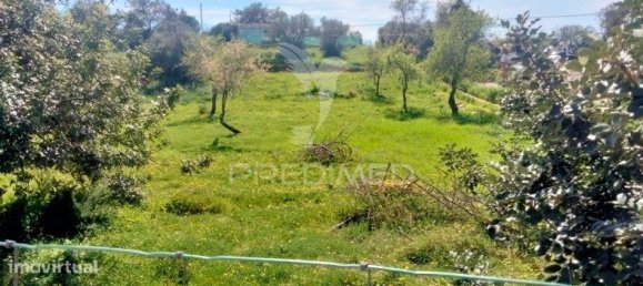 5000m² Land in Paderne, Portugal No. 31635 3