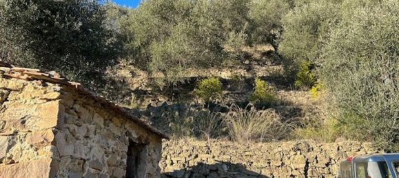 Земельный участок 10000м² в Кампороссо, Италия № 131441 3