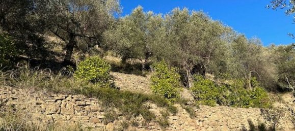 Земельный участок 10000м² в Кампороссо, Италия № 131441 4