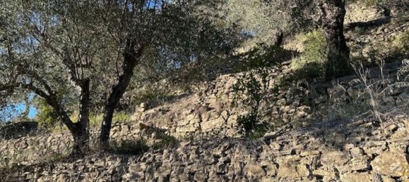 Земельный участок 10000м² в Кампороссо, Италия № 131441 10