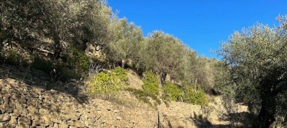 Земельный участок 10000м² в Кампороссо, Италия № 131441 9