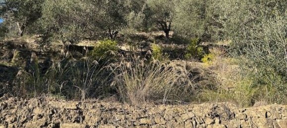 Земельный участок 10000м² в Кампороссо, Италия № 131441 8